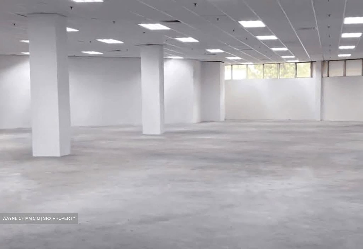 Imm Building (D22), Warehouse #559562281